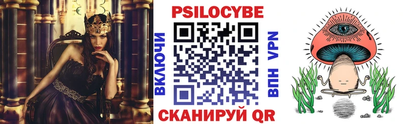 наркота Мензелинск Галлюциногенные грибы Psilocybine cubensis